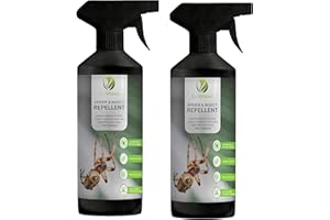 ECOWIDOW 2X 500ml Natural Strong Spider and Crawling Insect Repellent Spray - for Home, Indoors & Outdoors - Peppermint Oil Alternative to Spider Killer Spray, Spider Trap New Crawling Insect Formula