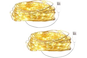 ‎ENLACE ENLACE 2 Stück LED Lichterkette mit USB, 2M 20 LED Warmweiß Kupferdraht Lichterkette mit Stecker, Micro Draht Lichterketten für DIY Weihnachten, Schlafzimmer, Party, Hochzeit, Innen Deko