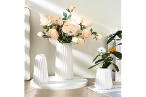 Ordeluxe Set de 3 Vases Décoratifs en Céramique Blanche - Grand et Petit Vase, Vase Fleur, Pampa - Parfait pour Décoration Maison et Salon