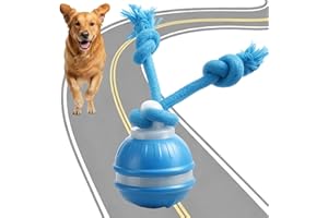 XLTXWD Chase Buddy Dog Toy, Moving Dog Toy, Interactive Dog Toys Ball with Motion Activated, Fun Moving Smart Dog Toys Active Rolling Ball to Keep Them Busy for Large, Medium (Blue)