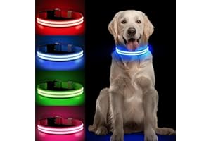 PCEOTLLAR PC8Tllar Collier Lumineux Chien LED Rechargeable, Etanche avec 3 Modes, Collier Chien avec Lumiere Réglable pour Petits/Moyens/Grands Chiens, Bleu-M