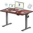 FLEXISPOT Electric Standing Desk Height Adjustable Sit Stand Up Desk with Memory Smart Pannel for Home Office (120 * 80cm, Silver Frame+ Mahogany Desktop)