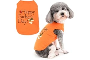 Zunea Hundeshirts für kleine Hunde Mädchen Jungen Sommer Weste T-Shirts Weiche Baumwolle Welpenkleidung Atmungsaktiv Ärmellos Tank Top Haustier Kleidung für Chihuahua Yorkie Orange XXL