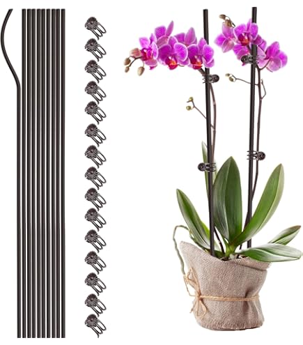 Bastoncini Per Orchidee E Piante - 20 Pezzi Con Moschettoni E Cappucci Protettivi
