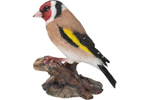 Vivid Arts Uccello cardellino | Decorazione per la casa o il giardino in resina | WBC-GOLF-F