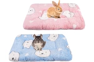 EXIN DECHEN Lot de 2 Tapis Lapin, Tapis Cochon d'Inde Souple Tapiss pour Petits Animaux Accessoires Cochon d'Inde Lavable Tapiss per Lapins Cochons d'Indes Hamsters Ecureuils et Chatons - 35 x 27 cm