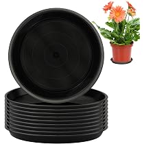 6 Soucoupes Pots De Fleurs Noires + étiquettes - Plastique Résistant