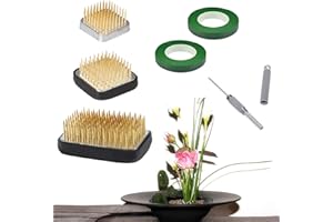 Dancepandas Flower Frog 3 Pcs Ikebana Kenzan Fiore Rotondo Rana Ikebana in Acciaio Inossidabile Flower Disposizione Pin per Home Office Sala da tè Fiorista Decorazione Floreale Piantare Piante