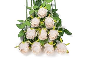 DuHouse 10pcs Artificial Silk Roses Flowers Single Long Stem Fake Rose Bouquet for Wedding Home Party Decoration Centerpieces(Beige)