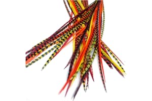 ONE FINE DAY FEATHERS 20 extensions de véritables plumes pour cheveux : courtes et fines, 18-23 cm avec des anneaux et une boucle (Sunburst)