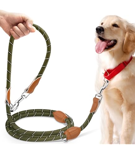 Correa De Perro Con Manos Libres Para Montar En Bicicleta Y | Cuotas sin interés Correa De Perro Con Manos Libres Para Montar En Bicicleta Y | Cuotas sin interés