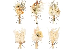 FENGQQKJ Trockenblumenstrauß Mini Echten Trockenblumen zum Basteln Boho Trockenblumenstrauß Klein Handgemachter Blumenstrauß Natürliche Getrocknete Blumenstrauss Blumen Deko für Bilderrahmen 6 Bündel