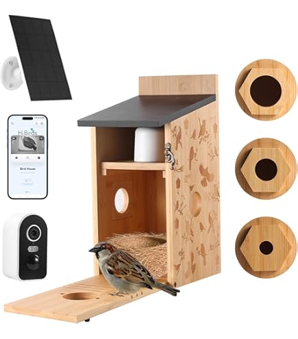WILDLIFE HOME Amsel Nichoir semi-ouvert en bois massif vissé I Demi-cavité résistante aux