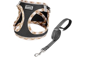 DORAMIO Hundegeschirr Kleine Hunde mit Leine, Step-in Geschirr Reflektierend Atmungsaktiv Brustgeschirr Anti Zug Sicherheitsgeschirr Katzengeschirr für Kleine Hunde, Katzen (Schwarz Gelb, XS)