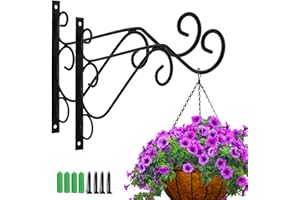 MATT SAGA 2 Pièces Suspension Mural Crochet Plante avec Vis Support Crochet Plante Lanterne Mangeoires d'oiseaux Panier de Jardin en Métal pour Décoration de Jardin Balcon (Géométrie)