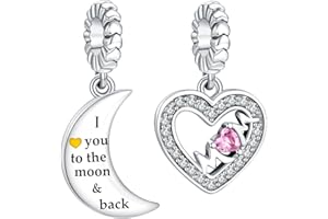 Rimgoris 925 Sterling Silver Charm for Women Bracelets Necklace Infinity Heart Family Clasp Safety Chain Dog Print&Bone Coin Family&Friend Forever Friendship Hot Air Balloon House