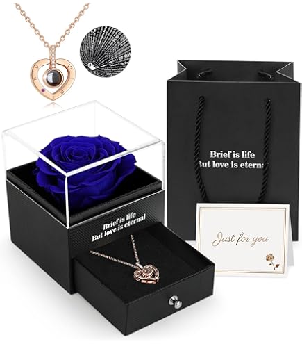 Yamonic Eeuwige echte roos met ik hou van jou ketting 100 talen sieraden geschenkdoos, handgemaakte eeuwige echte roos voor Valentijnsdag Moederdag huwelijksverjaardag verjaardagscadeau voor haar - wit