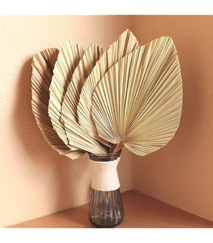 Novabright Künstliche getrocknete Palmenblätter, 40 cm, groß, Boho-Stil, tropische Palmenblätter, Fächer für Boho, Hochzeit, Dekoration, Hawaii, Luau, Party, Küche, Bauernhaus, Tisch Küche, Haushalt & Wohnen
