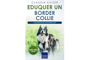 Eduquer un border collie: L'éducation de ton chiot border collie