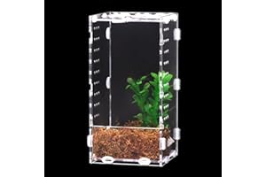 DERNORD Enclos en acrylique pour araignées sautantes - 20 x 10 x 10 cm - Pour reptiles - Mini terrarium pour prière, mante, saut d'araignées, tortues