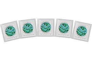 NATURAL PROBIOTIC SELECTION Joghurtferment für Bifido Joghurt – 5 Beutel gefriergetrockneter Starterkulturen