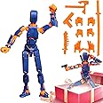 T13 Action Figure, Robot Action Figure, 3D Printed with Full Articulation for Stop Motion Animation, Multi-Jointed Movable, Multiple Accessories, Desk Decoration(Assembly Completed) (orange blue)