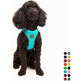 Tailpetz Air-Mesh K&uuml;&ccedil;&uuml;k ve Orta Irk Kedi K&ouml;pek G&ouml;ğ&uuml;s Tasması - Yumuşak, Nefes Alabilir, Dayanıklı (Ocean, XSmall)