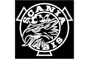 SHFT Adesivi for auto Scania Vabis Decalcomanie in vinile Decalcomania for moto Accessori decorativi Copertura moda impermeabile Graffi PVC, 15 cm (Color : WH, Size : 40cm)
