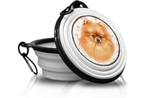 POWER GIFT Spitz Allemand/Poméranien- Gamelle pour Chien Pliable en Silicone avec Mousqueton pour Promener Vos Amis à Quatre Pattes. Pratique, légère, Pratique et Surtout Unique.