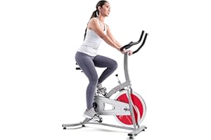 Sunny Health & Fitness SF B1203 Vélo d'intérieur Mixte Adulte, Gris, Standard