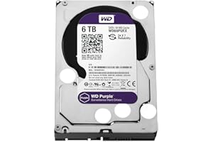 WESTERN DIGITAL WD Purple - Disco Duro para videovigilancia de 6 TB (Intellipower, SATA a 6 GB/s, 64 MB de caché, 3,5")