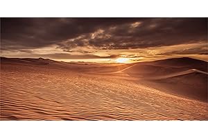 MIRRORANG 120x61cm Fond de Terrarium Soleil et désert Sable Orange Ciel Bleu Fond d'habitat de Reptiles Fond en Vinyle Durable (Pas d'autocollant)