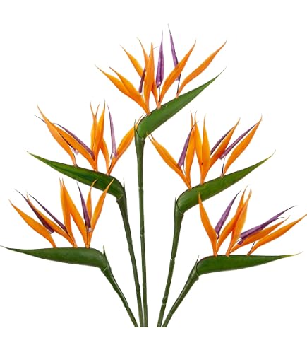 Amazon.de: Floratexx Knstliche Strelitzie 60cm Kunstblume  Paradiesvogelblume Papageienblume Tropische Pflanzen