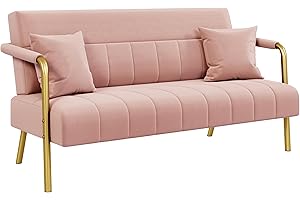 ‎YAHEETECH Yaheetech Polstersofa mit Armlehnen & Beine aus Metall Modernes Zweisitzer-Sofa mit 2 Lendenkissen Loveseat fürs fürs Wohnzimmer, Heimbüro Rosa