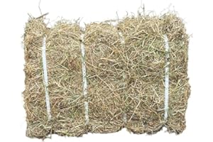 Fearns Compressed Banded Hay