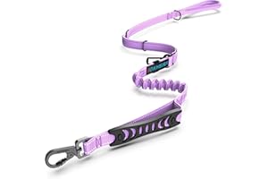 Iokheira Bungee Cane Conduce forte guinzaglio cane assorbire gli urti con 2 comode maniglie imbottite auto cintura di sicurezza fibbia, regolabile corda guinzaglio cane (Rosa)