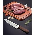Tramontina Professional 10 Inches Meat Knife with Stainless Steel Blade and Brown Polypropylene Handle with Antimicrobial Protection