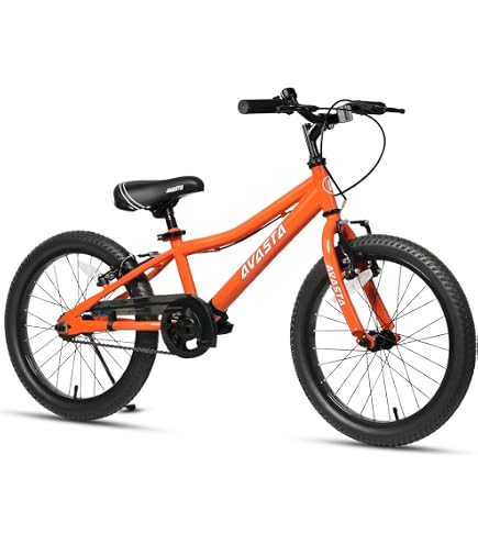 Pegasus Avanti 7 20 Zoll Kinderrad 7-Gang Rcktrittbremsnabe wei :  Amazon.de: Sport & Freizeit