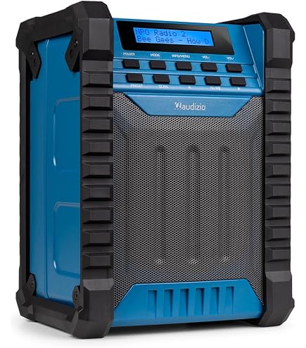 DeWalt DCR011-XJ Bluetooth-Lautsprecher, Basisversion Ohne Akku Bluetooth Lautsprecher Baustelle C1634642941