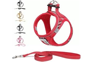 Suredoo Pettorina Cane Taglia Piccola Riflettente, Step-in Pettorina per Cani Gatti Cuccioli con Guinzaglio Comodo, Traspirante Imbracatura Cane Imbottito per Corsa Passeggiate (Rosso, XS)