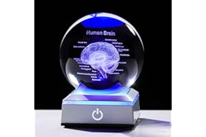 ORNALRIST 3D Human Brain 3.15 in. Crystal Ball Doctor Psychology Graduation Gifts for Him Her, Etched Anatomy Model Neurology with LED Light Base for Pharmacist Paramedic
