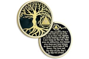 ATSKNSK 11 Years Sobriety Chip Tree of Life AA Coins and Medallion Alcoholics Anonymous Coin Recovery Anniversary Token Sobriety Gifts for Women Men