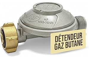 Générique Détendeur Gaz Butane 28 mbar Sécurité Limiteur Débit – Raccord Fileté G.2 Bouteille 13 kg – Sortie Mâle 20x150 – pour Réchaud, Gazinière, Chauffage – Conforme Norme NF en 16129