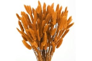 Minnhua 120 Pezzi Fiori Secchi Decorativi,Pampas Decorative, Arancione Fiori Essiccati di Bunny Tails,Fiori Secchi Naturali,Erba di Pampa Essiccata Naturale per Matrimoni, Feste, Decorazioni Boho