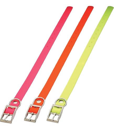 Zolux Moov Halsband Für Hunde Verstellbar & Reflektierend | Schwarz, 40 Mm Breite | Für Halsumfang 51-67 Cm | Wasserdicht & Komfortabel
