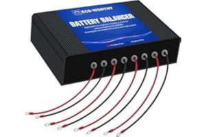 ECO-WORTHY Bilanciatore di batteria 48 V, 12 V x 4, per LiFePO4, piombo-acido/gel/SLA e Ni-MH per camper e sistemi indipendenti