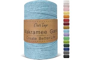 OurTop Premium Macrame Cord, 3mm x 300m Braided Macrame Rope Twisted Cord Yarn Macrame Yarn Thick Rope for Wall Hangings, Plant Hangers, DIY Crafts, Home Decorations, Gift Wrapping(Sky Blue)