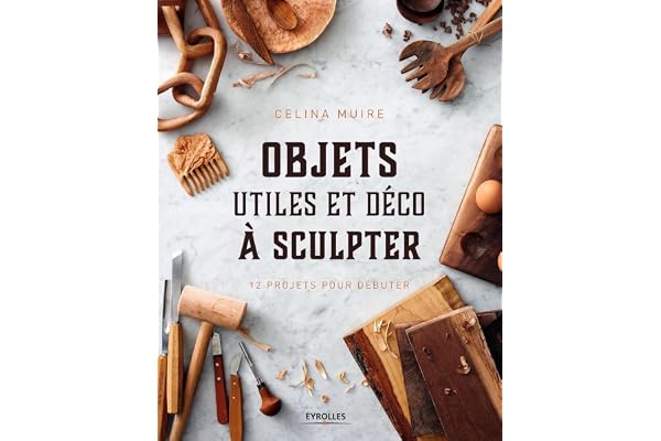 Objets utiles et déco à sculpter: 12 projets pour débuter