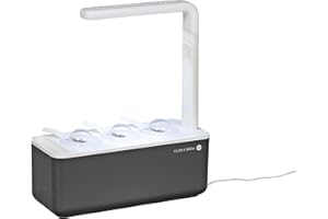 Emsa Click & Grow - Kit per Creare Un Mini Giardino in casa, Grigio., 31,5 x 13,5 x 22,7 cm