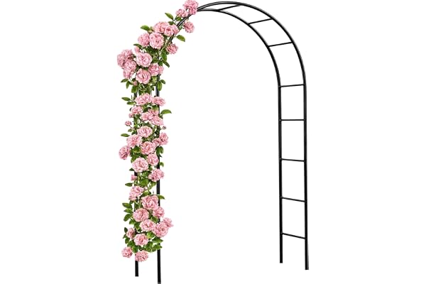 Arche de Jardin 240x140x37cm Support pour Plantes grimpantes Arche à rosiers Tuteur Décoration extérieure